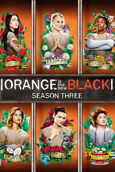 Orange is the New Black: The Complete Third Season (2015) Vudu SD code