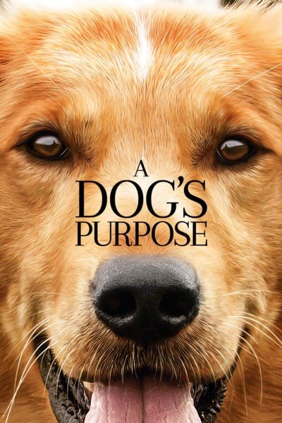 A Dog's Purpose (2017: Ports Via MA) iTunes HD redemption only