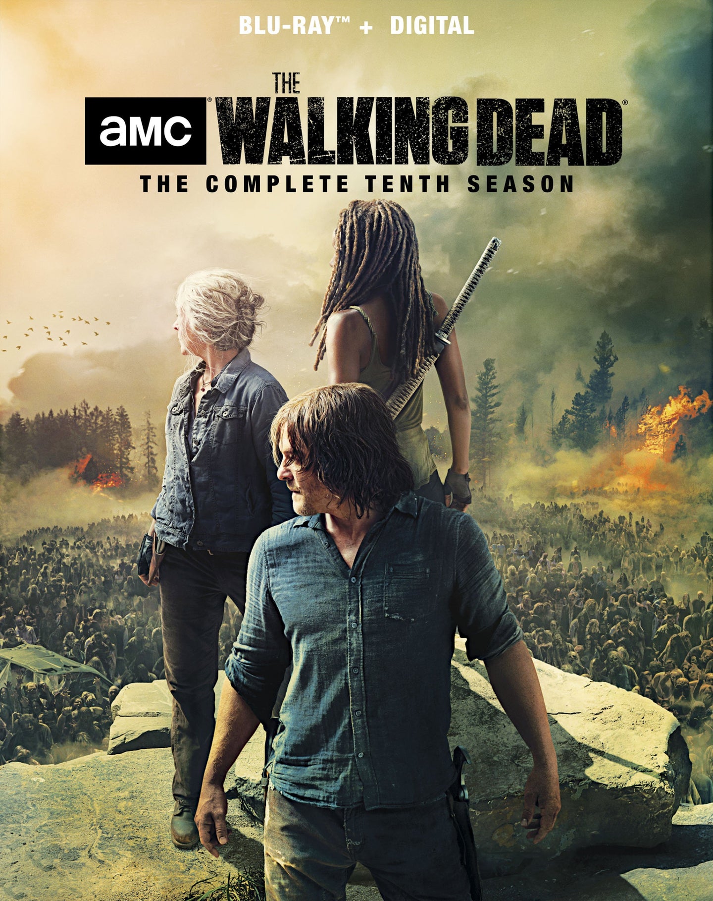 The Walking Dead: The Complete Tenth Season (2019-2021) Vudu HD code