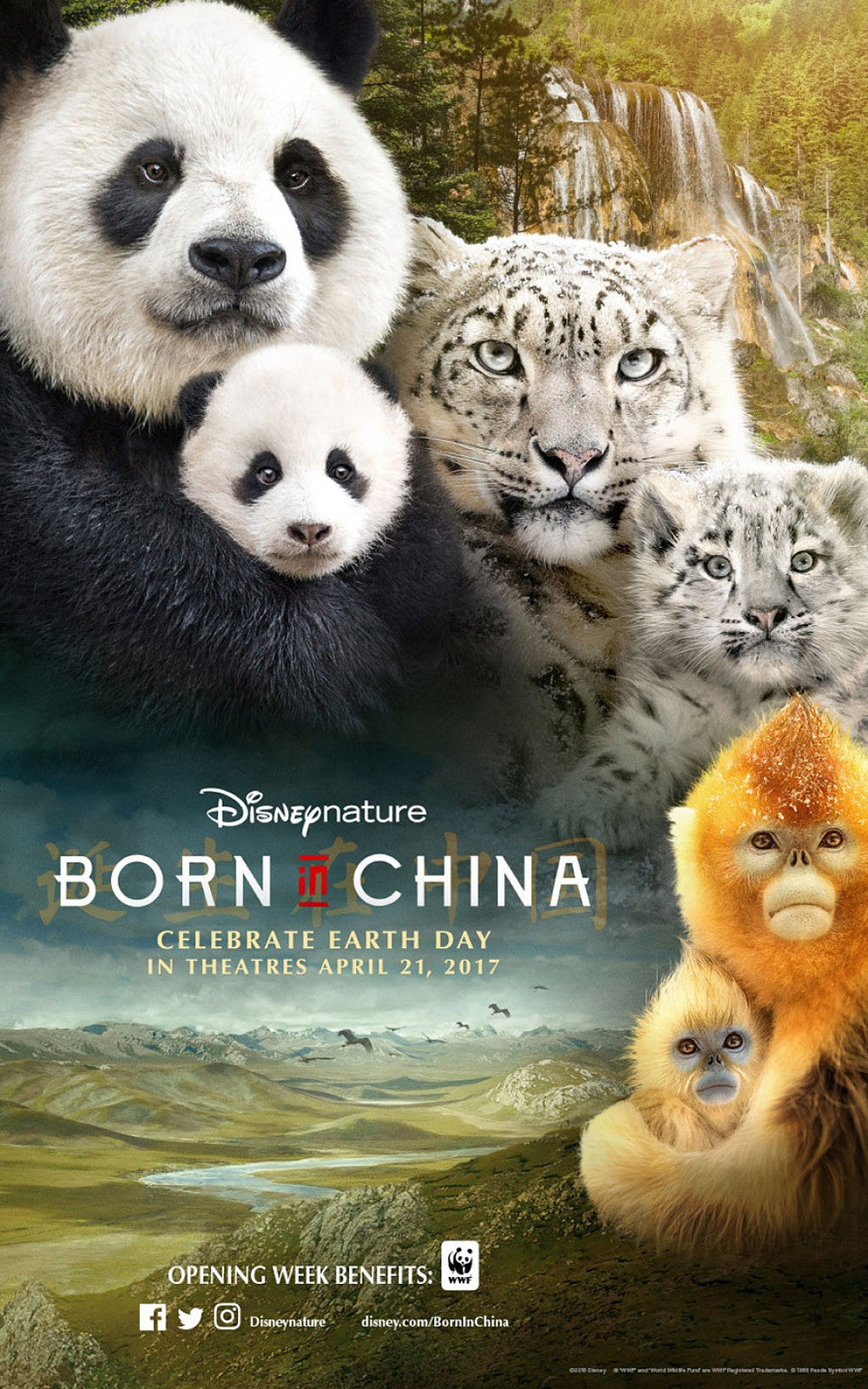Disney Nature's Born in China (2016: Ports Via MA) Google Play HD code