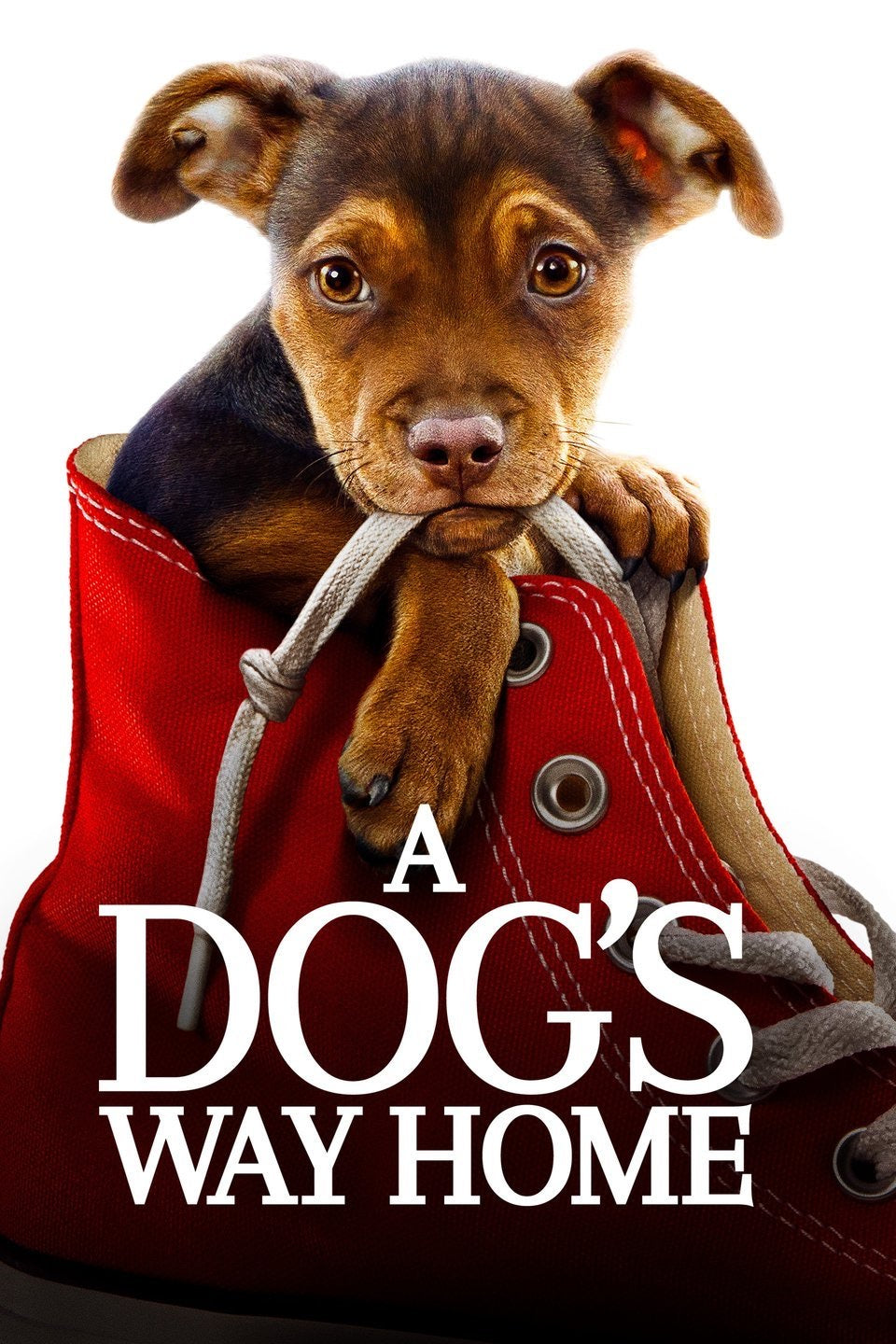 A Dog’s Way Home (2019) Vudu or Movies Anywhere HD code